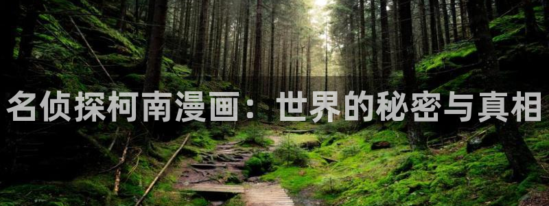 韩漫漫画网站入口：名侦探柯南漫画：世界的秘密与真相