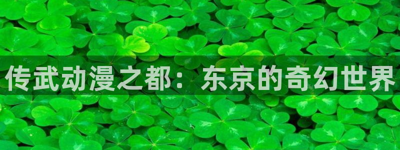 韩漫漫画免费下拉式完整版：传武动漫之都：东京的奇幻世界