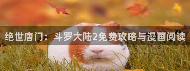 韩漫漫画免费观看漫画大全看：绝世唐门：斗罗大陆2免费攻略与漫画阅读